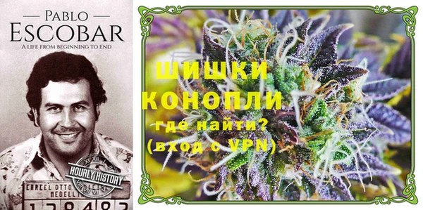 мет Алзамай