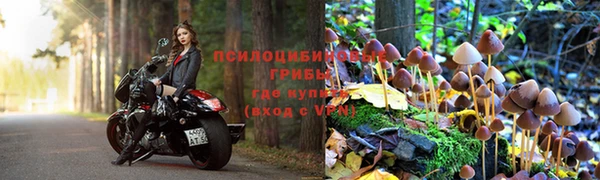 apvp Алексин
