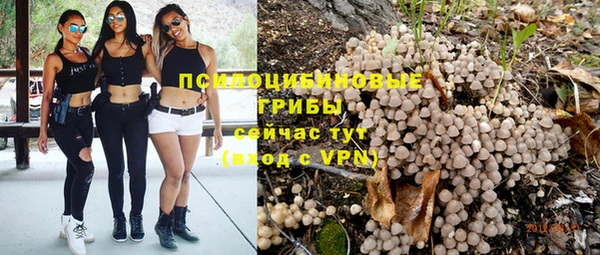 apvp Алексин