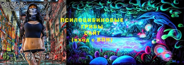 apvp Алексин